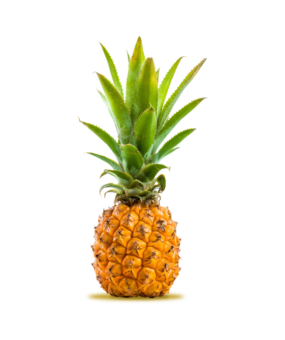 Ananas Victoria