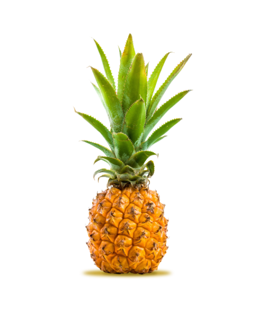 Ananas Victoria
