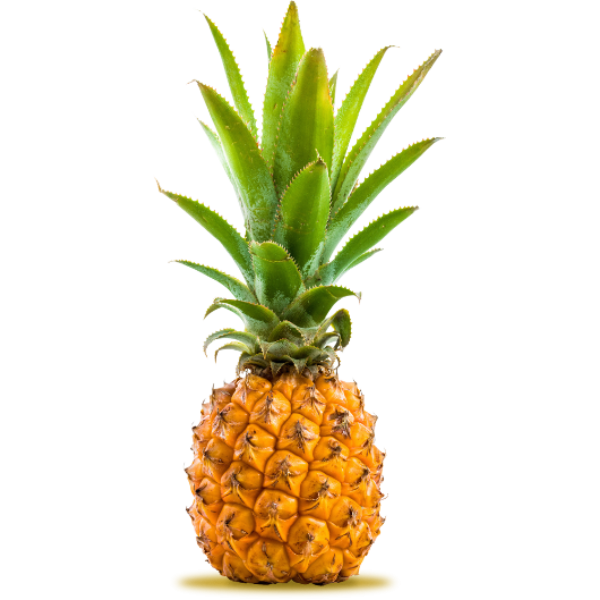 Ananas Victoria