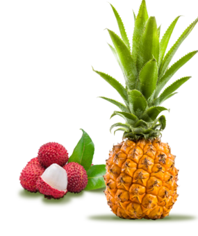 Ananas victoria et letchis