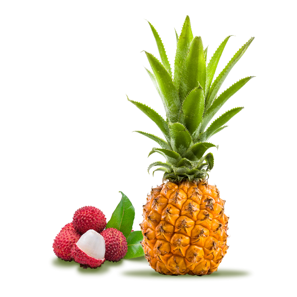 Ananas victoria et letchis