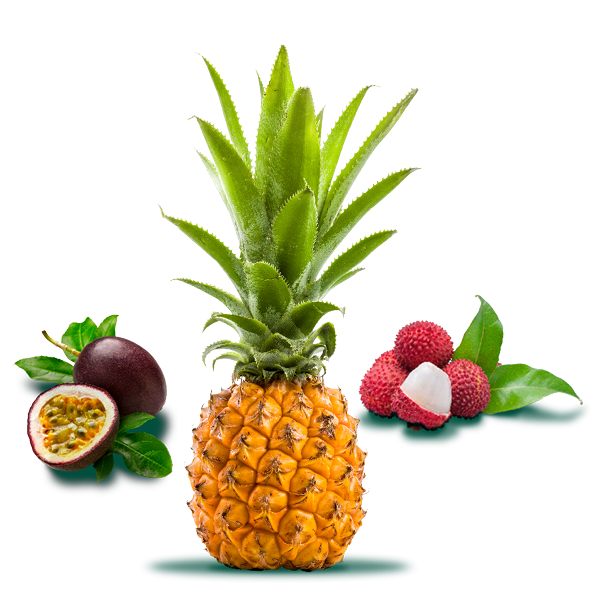 Fruit de la passion, letchi et ananas victoria