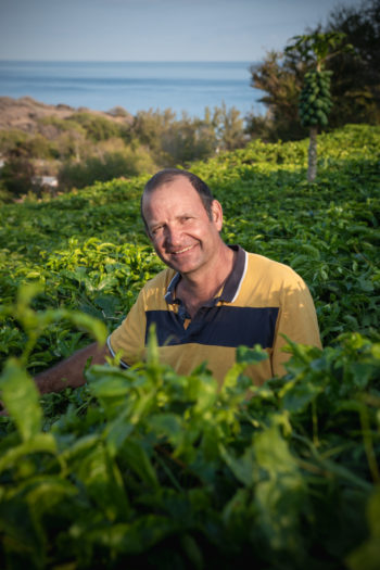 Producteur fruit de la passion