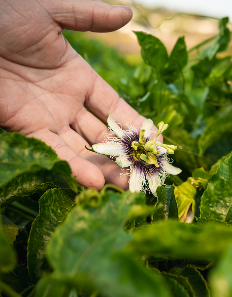 BF_ARTICLE_BLOG_NATURE