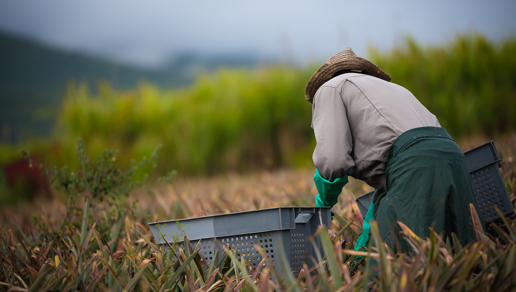 BF_ARTICLE_BLOG_TERROIR