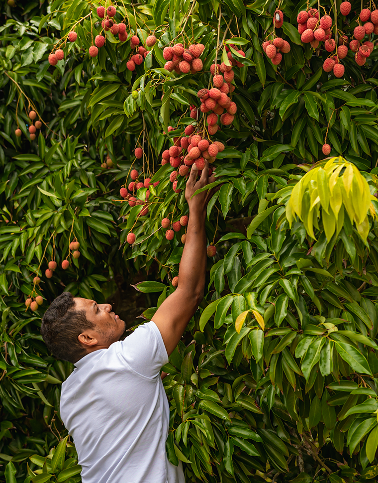 GABARIT_PHOTO_PORTRAIT_LETCHIS