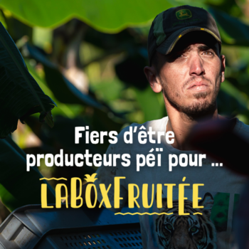 producteur péï box fruitée