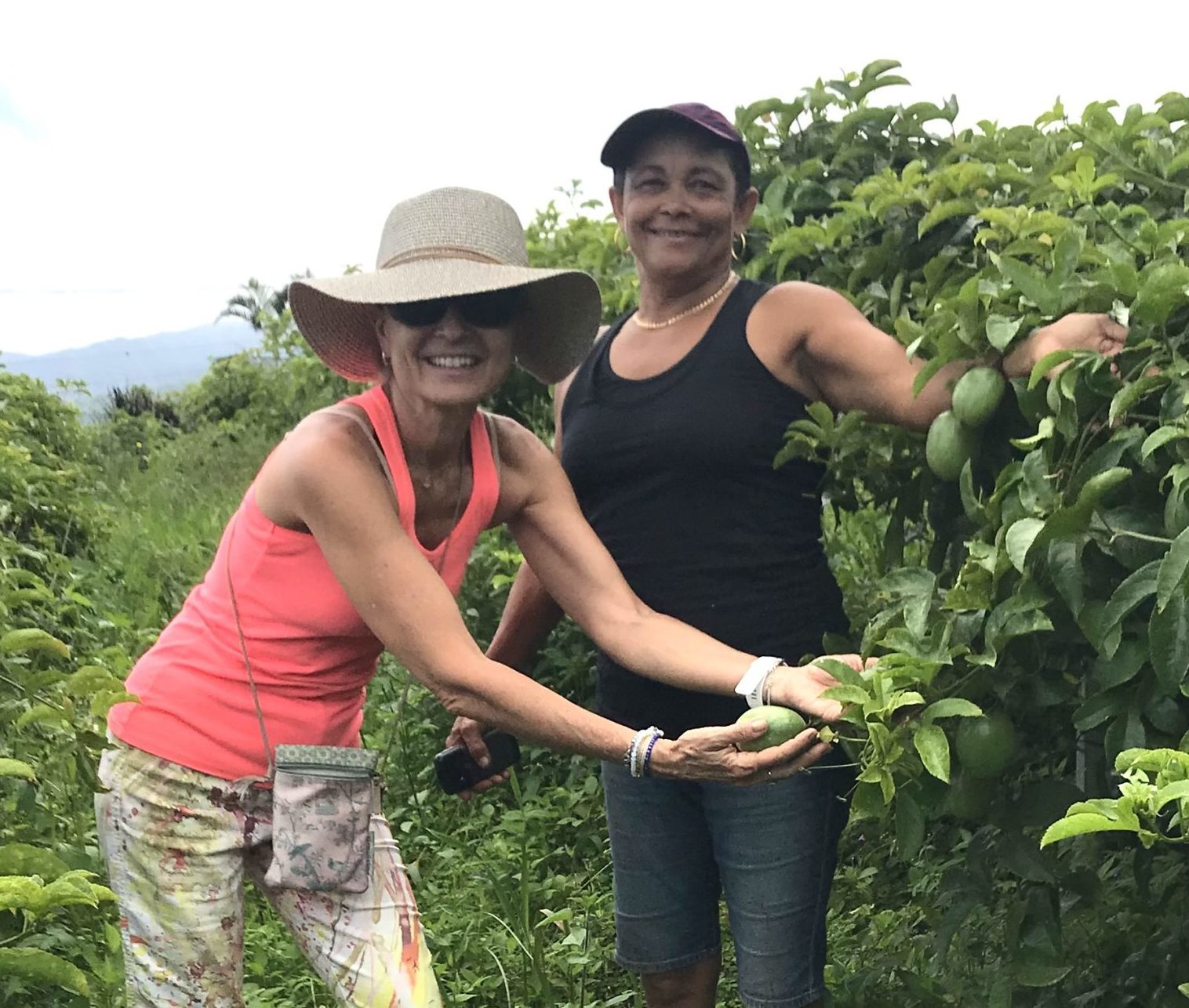 451DF687-9475-441A-9FBE-69DD302B330E