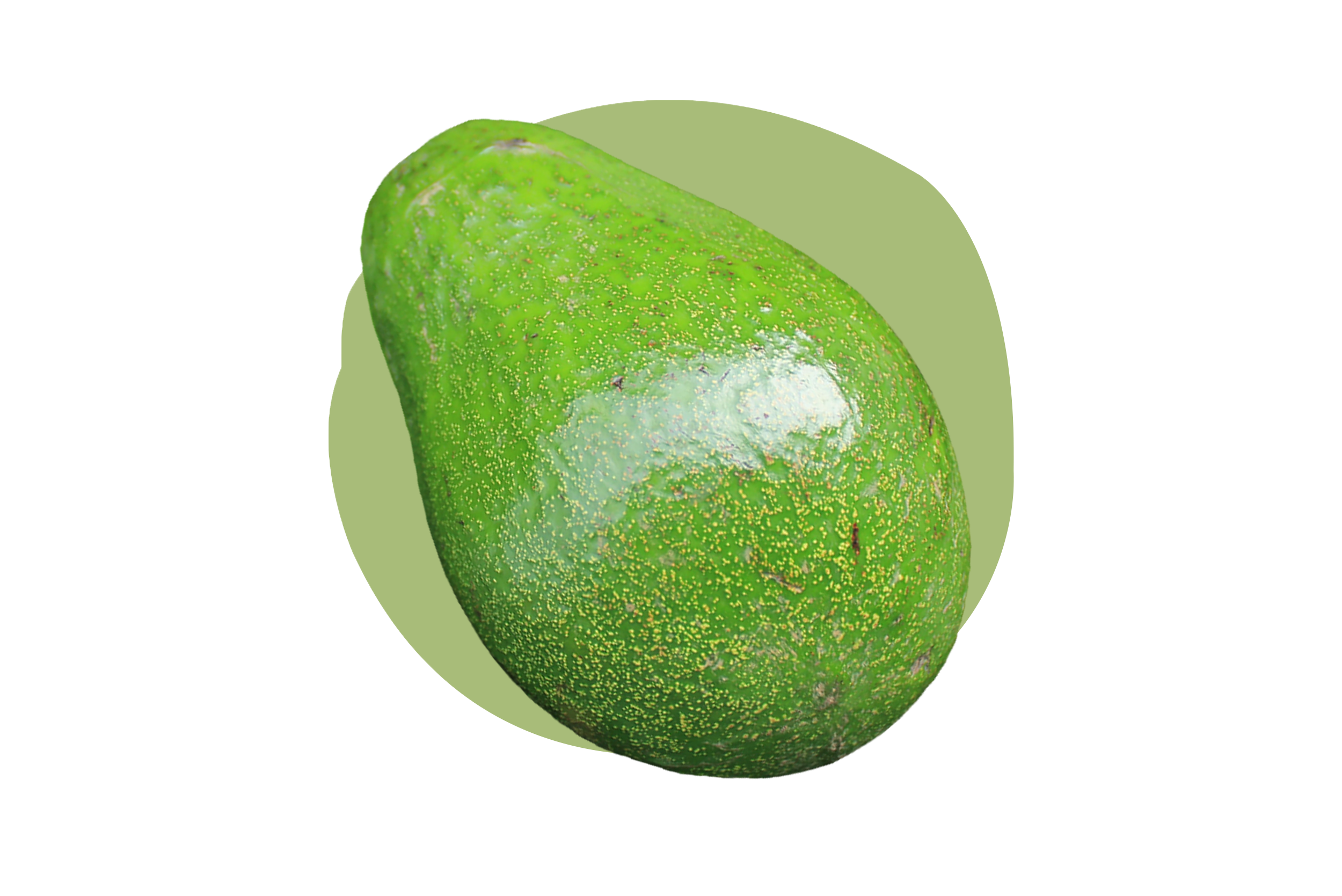 avocat