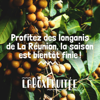 Profitez des longanis de La Réunion, la saison est bientôt finie !