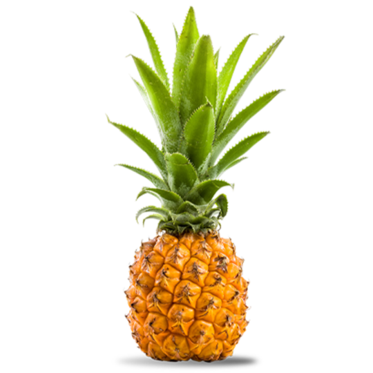 ananas_solo