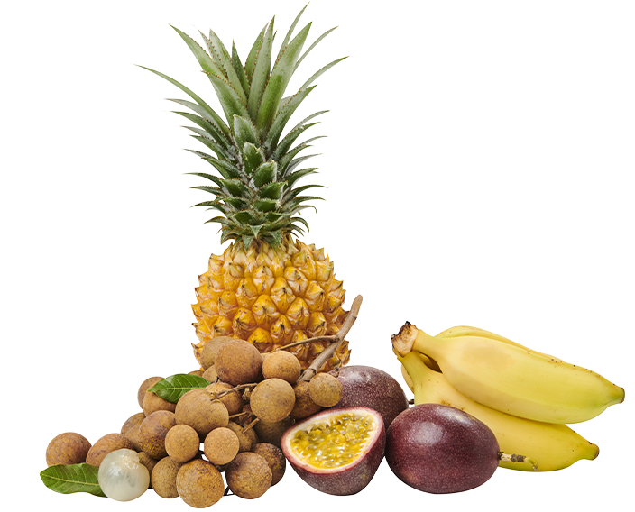 lbf-fruits_solo-multi_autres_5