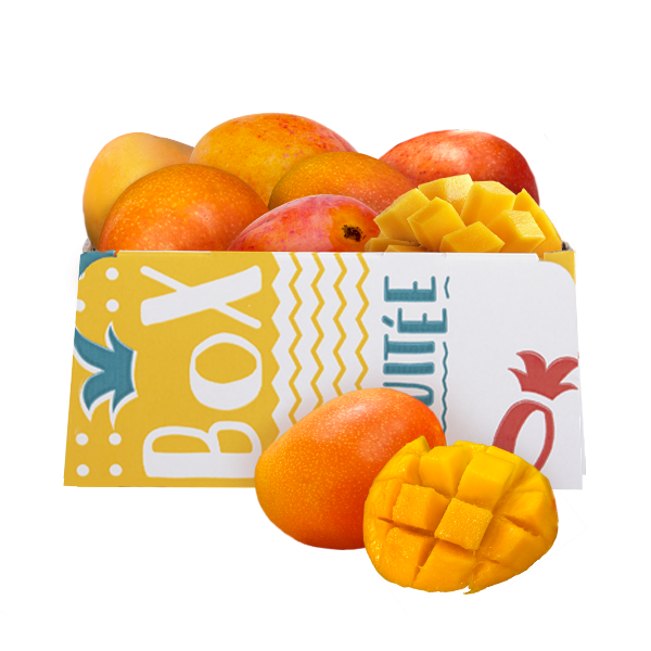 box_mangues-lbox-600×600-1