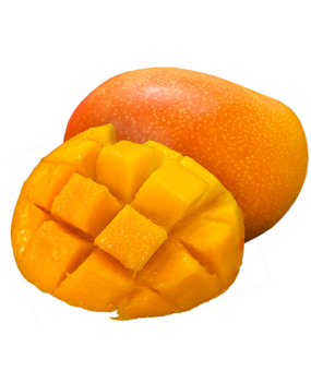 mangue