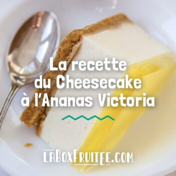 Cheesecake Ananas