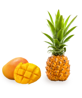 fruits-le-duo-decale-pour-site