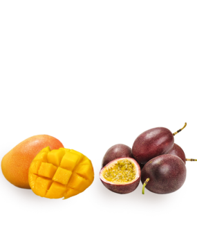 fruits-le-duo-epatant-pour-site