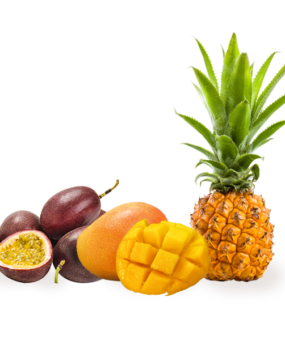 fruits-le-trio-qui-demenage-pour-site