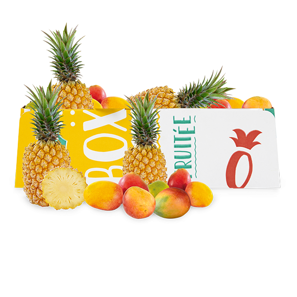 mangue ananas 5 kg-600×600